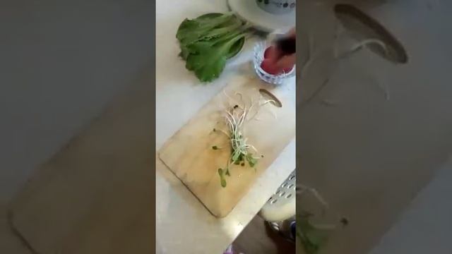 Рецепт салата из редиса с пажитником от Добросад. смотреть онлайн