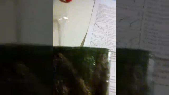 Распаковка набора сделай щенка смотреть онлайн