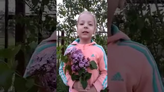 Стихотворение «День Победы» смотреть онлайн