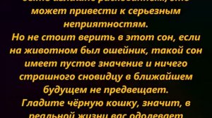 К чему снится черная кошка