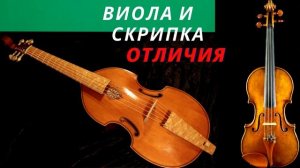 История скрипки. Появление скрипки классического типа. Часть 2