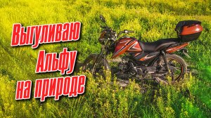 По полям - да по лесам на мопеде Альфа | Легкий off-road для Motoland Alpha RF11