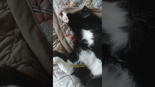 Когда просыпаешься утром перед учебой ☀️ смотреть онлайн