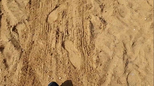 ПЛЯЖНЫЕ ГРАБЛИ СЕРЕБРО смотреть онлайн