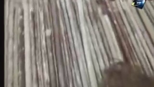 Тарас Чубай (Наш Івасюк) - Водограй смотреть онлайн