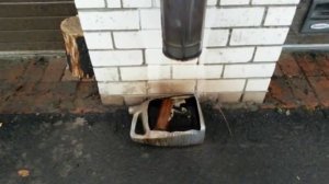 Котёл Бренеран твёрдо топливный.