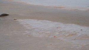 Озеро Баскунчак в Астраханской области 🦠 Как добывается соль