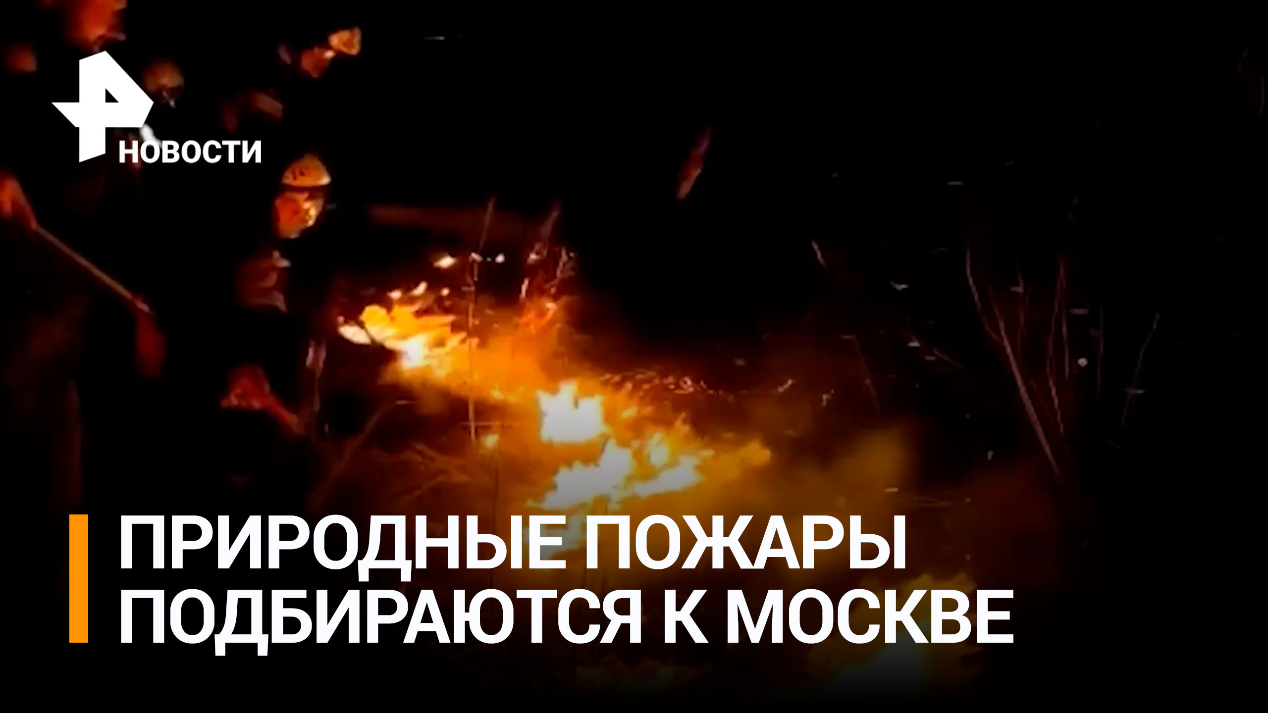 Сильный пожар рядом с Симферопольским шоссе в Москве: природное пламя подбирается к столице / РЕН
