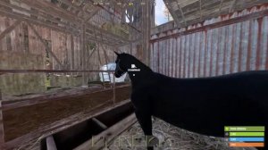 RUST - GT 1030 GDDR5 OC 2GB - CORE i3 2100 - 10 GB RAM - TEST DE RENDIMIENTO (streaming)