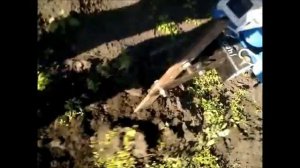 Веерная картофелекопалка самодельная, мотоблок Нева