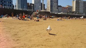 #GIJON #SPAIN #Хихон #Испания Город на берегу океана! #Астурия