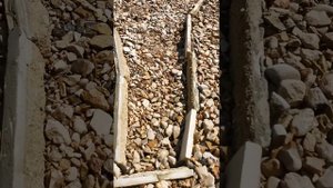 Маленький скальный выход в лесу. Альпийская горка.