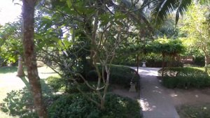 Тайланд о.Самуй(Koh Samui) территория отеля Fair House Beach Resort 4* Чавенг Ной(Chaweng Noi Beach