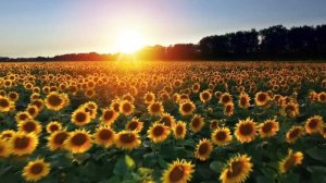 Нашей великой России посвящается!