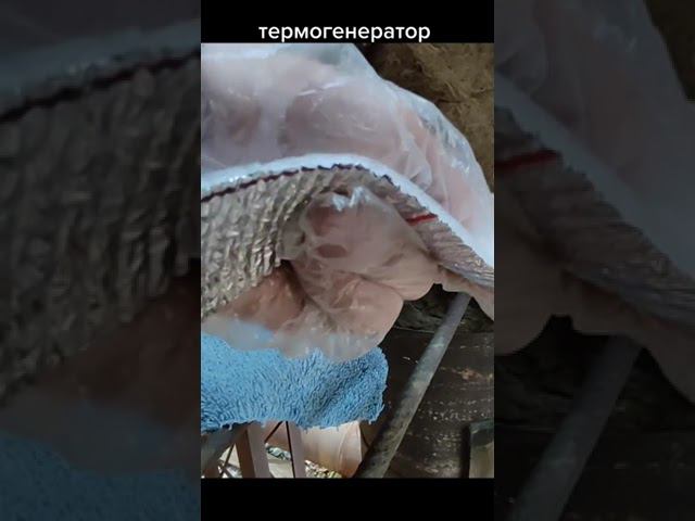 Монтаж термогенератора на элементах Пельтье для подвеса на тепломагистраль.