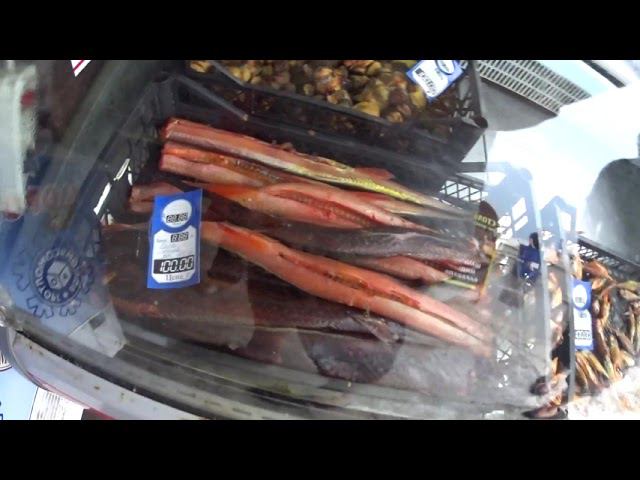 Рыбы Чёрного Моря в Большом Утрише смотреть онлайн