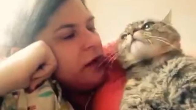 Давай голову поцелую смотреть онлайн