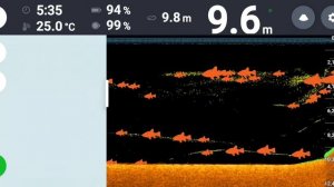 Deeper Pro ЭХОЛОТ для РЫБАЛКИ #deeper #эхолот #рыбалка #fishing #подводой