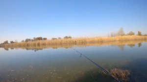 Ловля окуня с берега на микро джиг-риг(jig rig). Уловистая оснастка на ОКУНЯ!!!