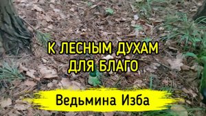 К ЛЕСНЫМ ДУХАМ. ДЛЯ БЛАГО. ДЛЯ ВСЕХ. ВЕДЬМИНА ИЗБА ▶️ МАГИЯ