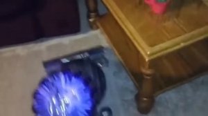 Dyson cinetic big ball animal first test