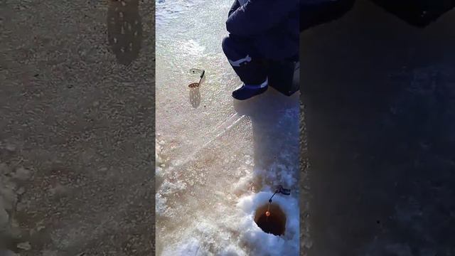 Рыбалка в Ленинградской обл., Волхов. 27.02.2022 смотреть онлайн