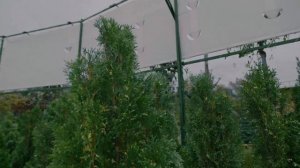Экскурсия по садовому центру АртСад в Самаре