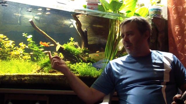 ТЕМПЕРАТУРА ВОДЫ в аквариуме и нитраты взаимосвязь ??? смотреть онлайн