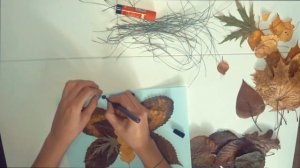 How to make a leaf collage ,Как сделать аппликацию из осенних листьев .