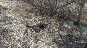 ПРОДОЛЖАЮ ОТКРЫВАТЬ СЕЗОН КОПА 2021.КОП НА СЕРЕБРЯНОМ ПОЛЕ. ПРИМОРСКИЙ КРАЙ.