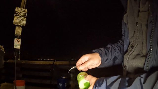 Tips on catching a ton of mackerels in Southern California смотреть онлайн