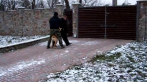 Бурбуль. Охрана территории.