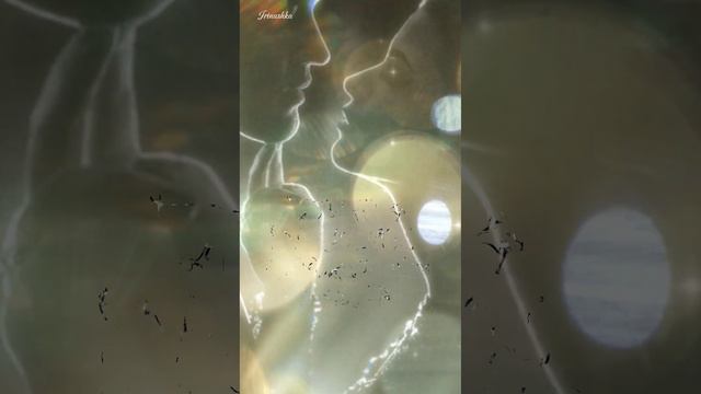 Вот почему мужчины любят чужих жён...( Притча)