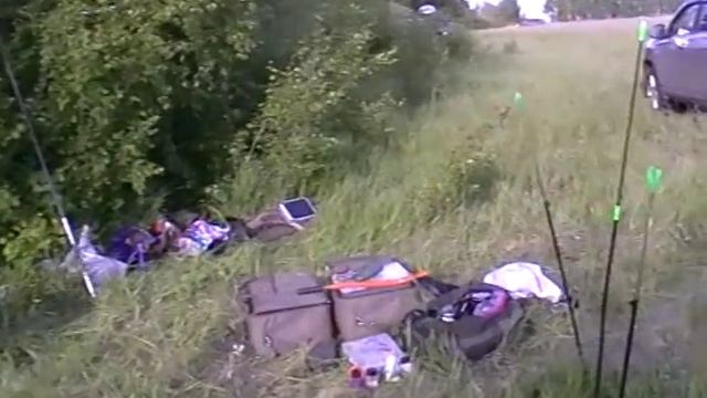 Карпфишинг золотая рыбка смотреть онлайн