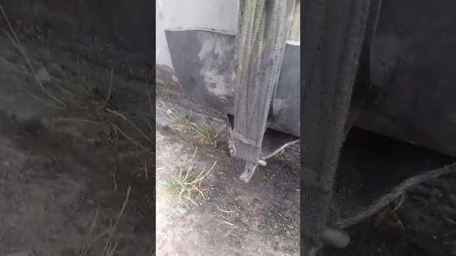 течёт бак ...