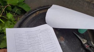 Часть 1. Борьба с болезнями винограда при созревании ягод!!!  Фитал или фосфит аллюминия .