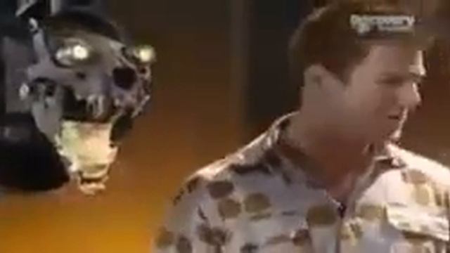 СИЛА УКУСА ЛЕОПАРДА 230кгс=507lbf смотреть онлайн