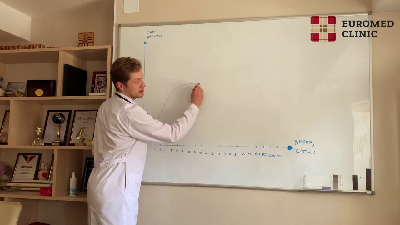 Тесты на антитела к COVID-19: какие бывают? в чем разница? какой анализ выбрать? смотреть онлайн