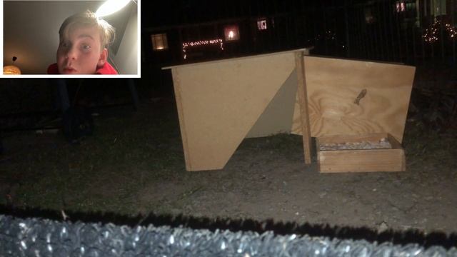 Leave my rabbit outside for ten minutes and react to it смотреть онлайн