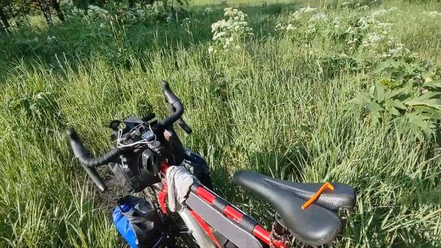 Путешествие на Дальний Восток|Серия 2|Дорога Алтай-Кузбасс, тепловой удар, укус клеща смотреть онлайн