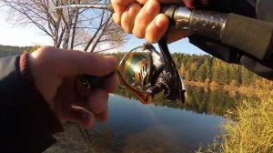 ОСЕННЯЯ РЫБАЛКА НА ЛЫТКАРИНСКОМ КАРЬЕРЕ. РАЗЛОВИЛ РАТЛИН. #срыбалки #щука #ратлин