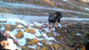 зимняя рыбалка без рыбы ,но с салом