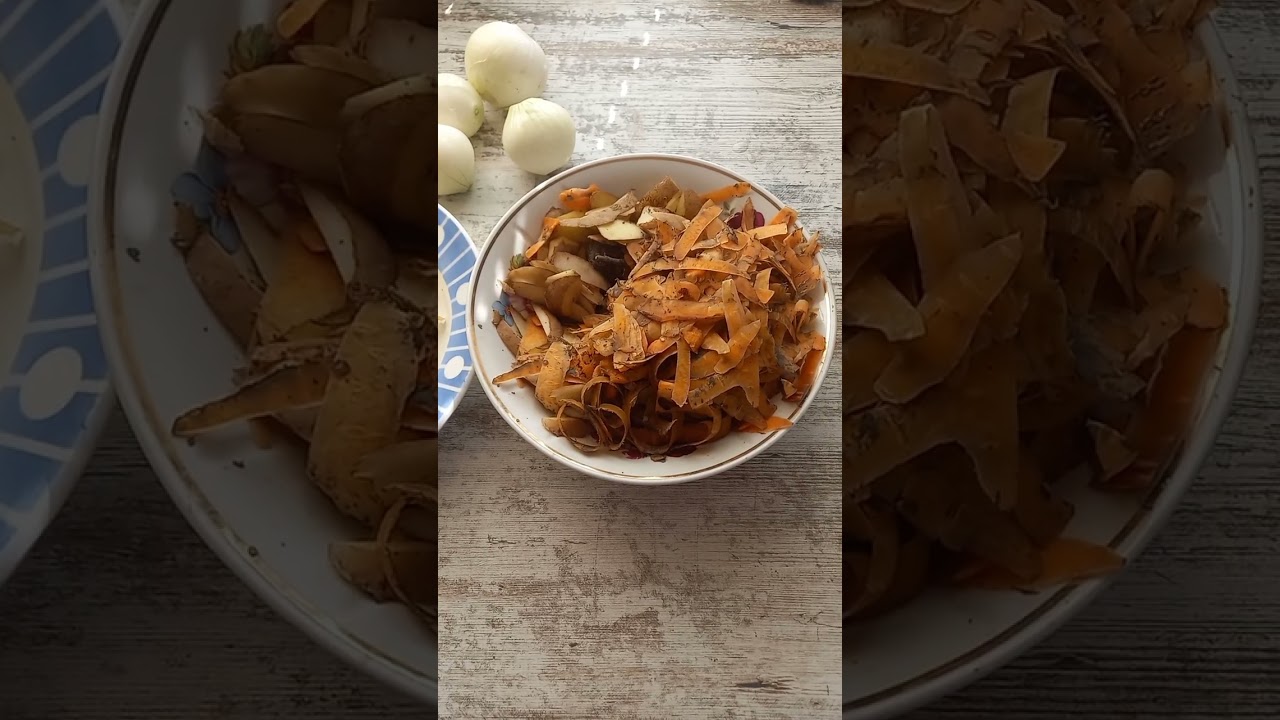 Не выбрасывайте пищевые отходы xKCQa7oHWnY смотреть онлайн