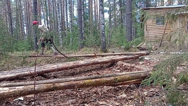 Не хочу ЛОМАТЬ, НО НАДО! Изба из валежника СВОИМИ РУКАМИ. Дверной проем и другое. Таёжный быт. DIY.