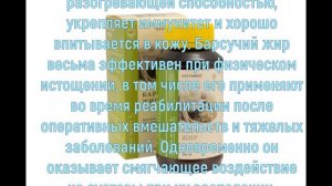 Барсучий жир. Полезные свойства. При каких болезнях применять.