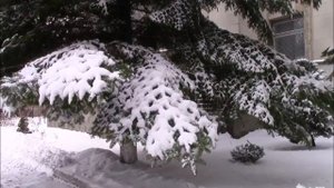 Живая музыка зимы ? Стихи Лидии Тагановой на фоне красивой музыки
