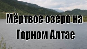 Мертвое озеро. Озеро Чейбек-кель на  Горном Алтае.  Природа Горного Алтая.