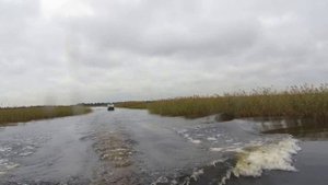 из лигово в ладогу