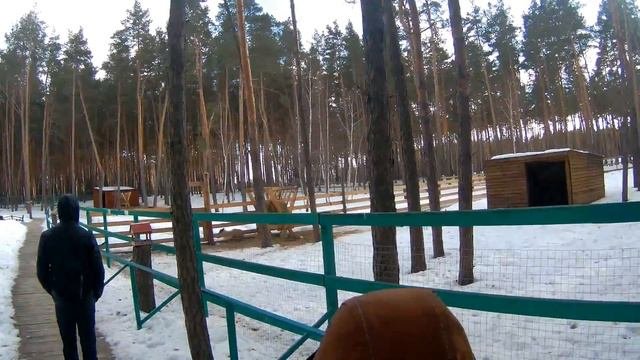 Червленый яр Воронеж
