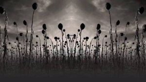 Dead Can Dance - 'Opium'